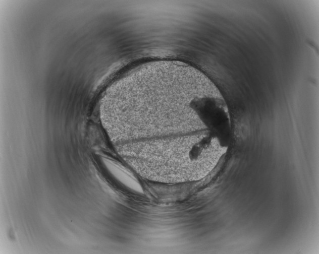 X0000098160256200805151236