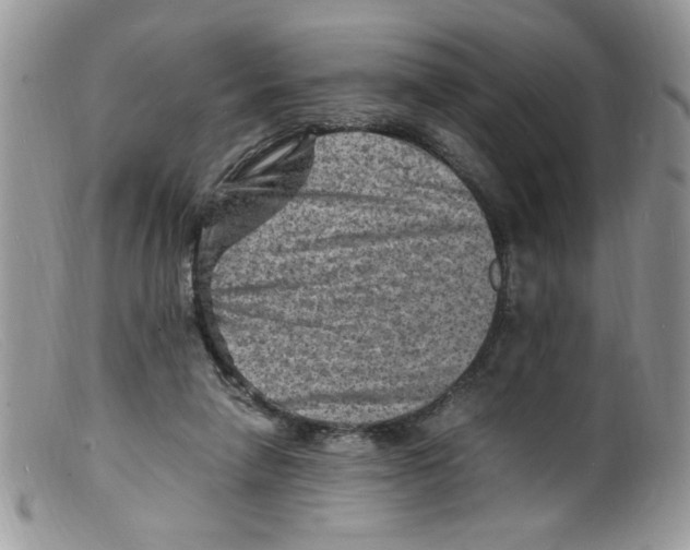 X0000098160258200805151236