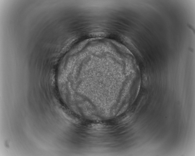 X0000098160259200805151236