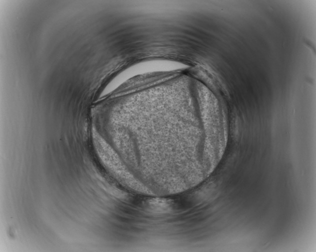 X0000098160261200805151236