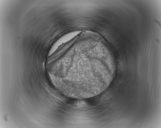 X0000098160262200805151236