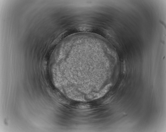 X0000098160263200805151236