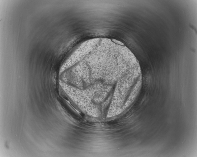 X0000098160264200805151236