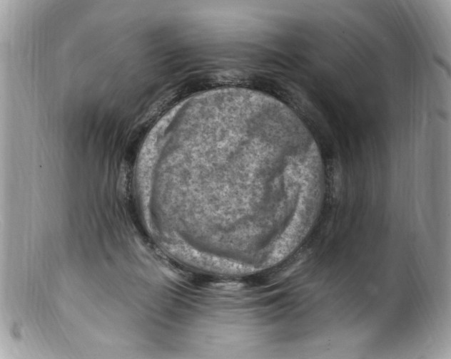 X0000098160266200805151236