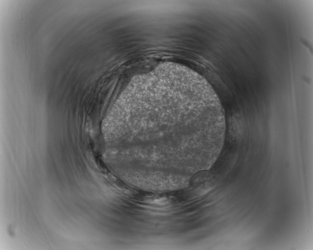 X0000098160267200805151236
