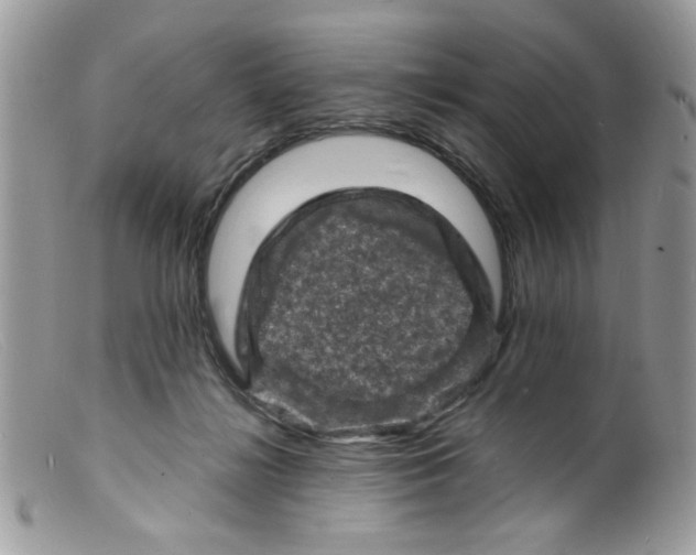 X0000098160268200805151236