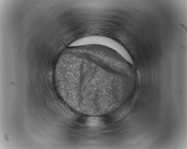 X0000098160269200805151236