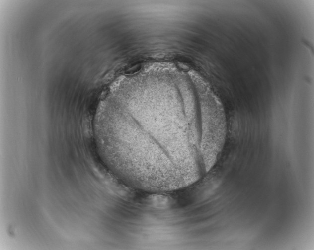 X0000098160272200805151236