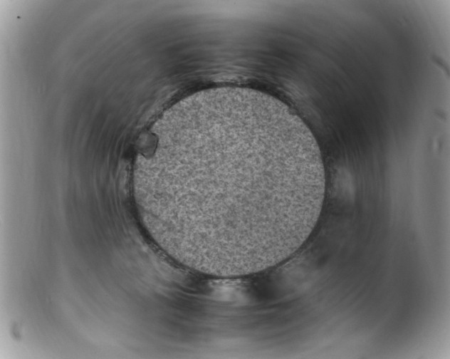 X0000098160273200805151236