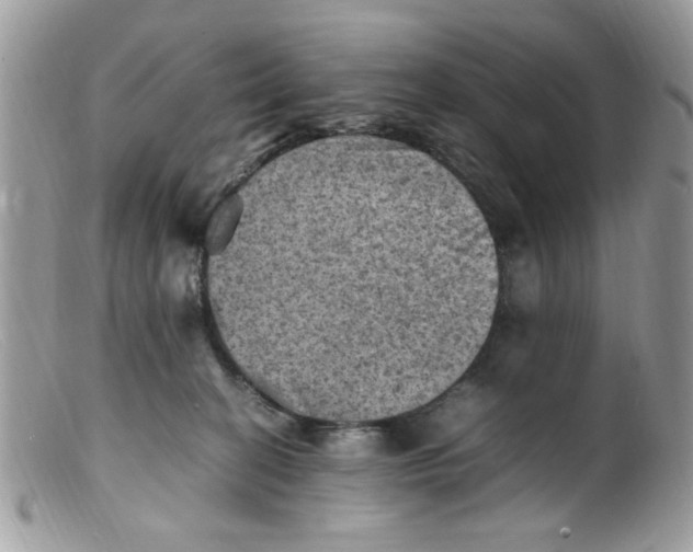 X0000098160274200805151236