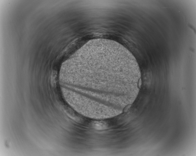 X0000098160275200805151236