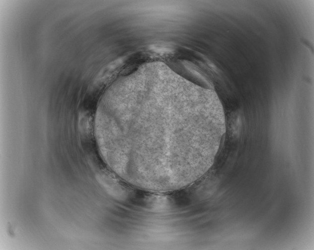 X0000098160276200805151236