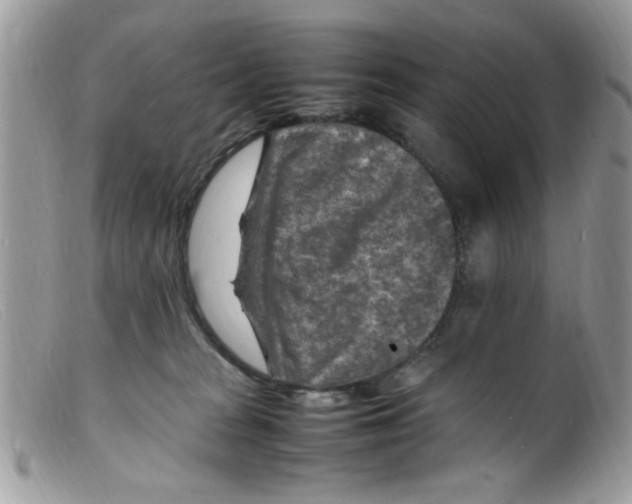X0000098160277200805151236