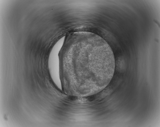 X0000098160278200805151236