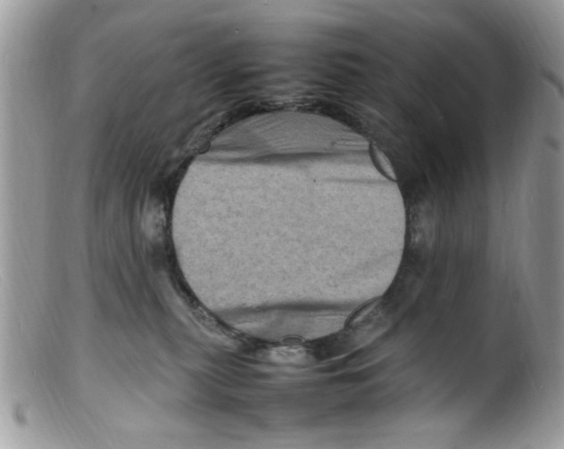X0000098160279200805151236