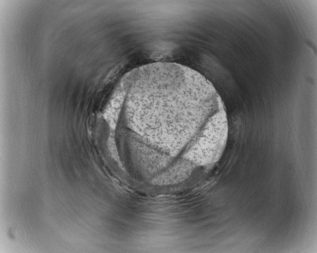 X0000098160280200805151236