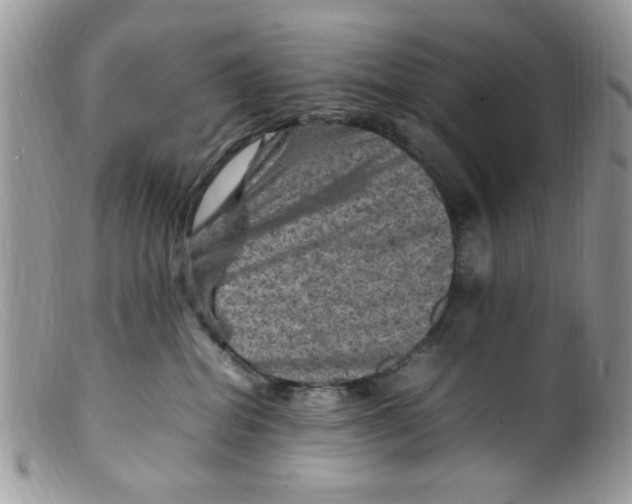 X0000098160282200805151236