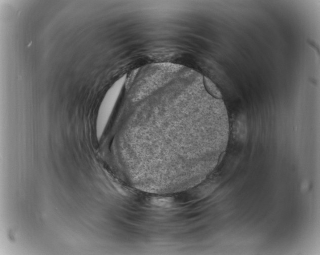 X0000098160283200805151236