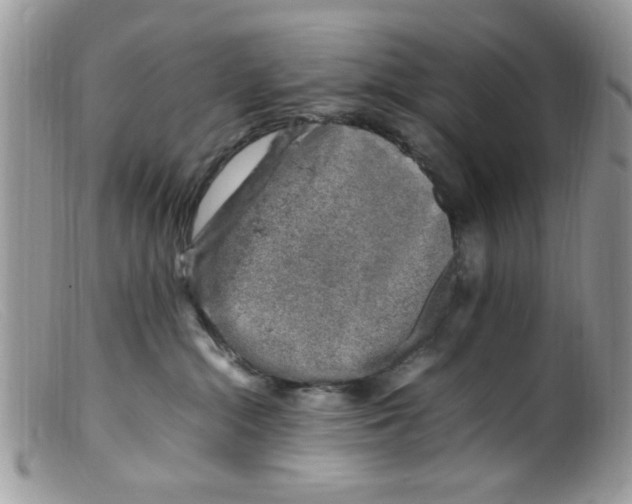 X0000098160284200805151236