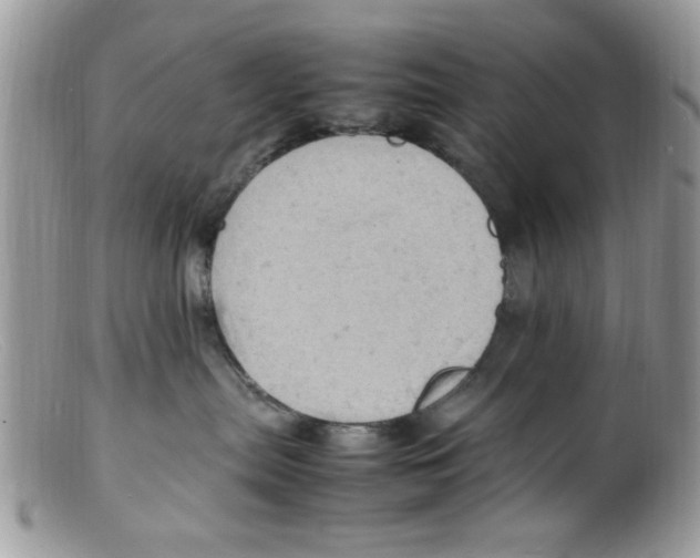 X0000098160287200805151236