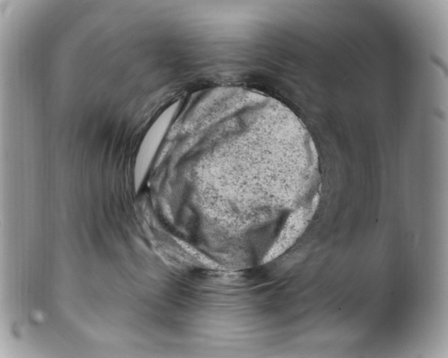 X0000098160288200805151236