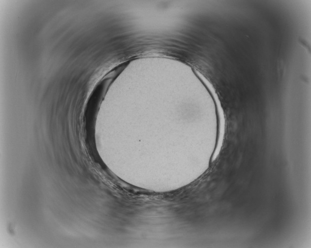 X0000098160289200805151235