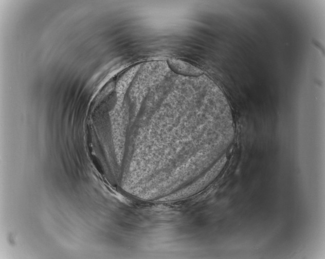 X0000098160290200805151235
