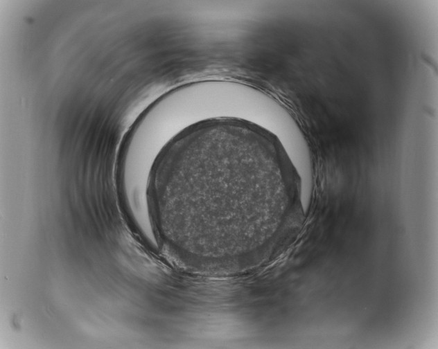 X0000098160292200805151235