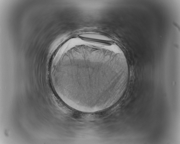 X0000098160293200805151235