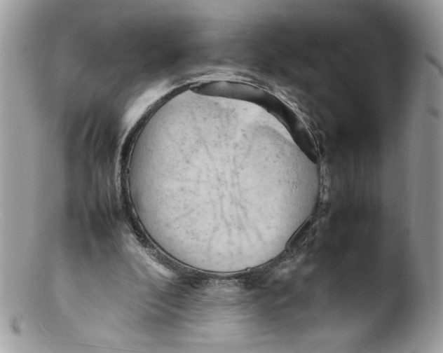 X0000098160296200805151235