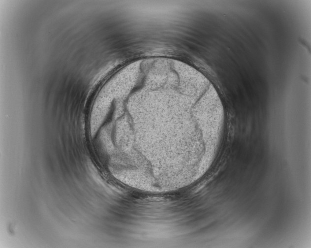 X0000098160298200805151235