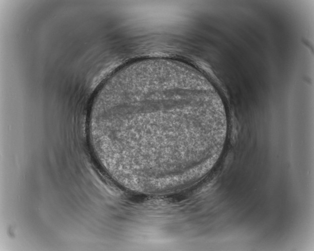 X0000098160299200805151235