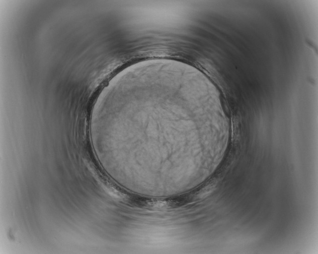 X0000098160301200805151235
