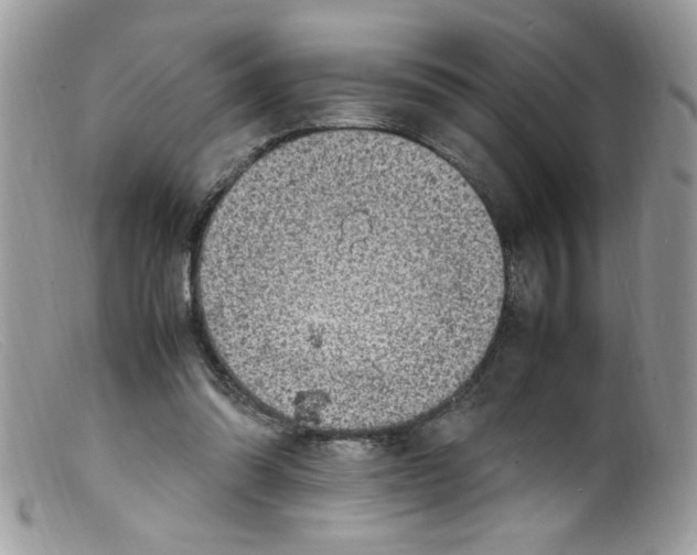 X0000098160302200805151235