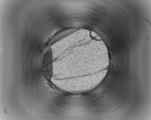 X0000098160306200805151235