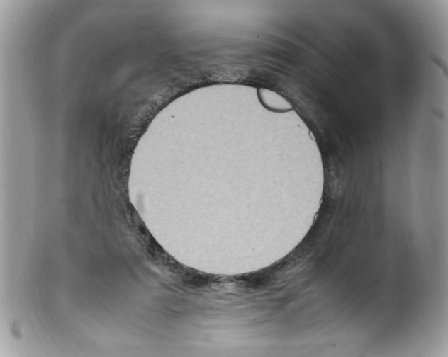 X0000098160307200805151235