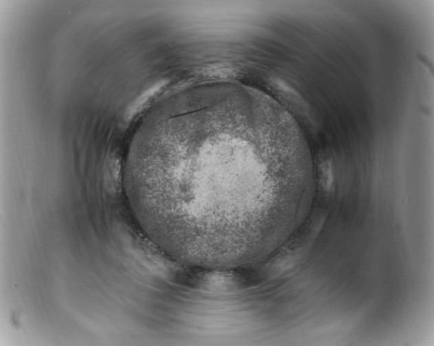 X0000098160308200805151235