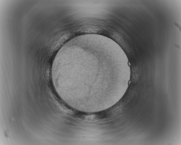 X0000098160309200805151235