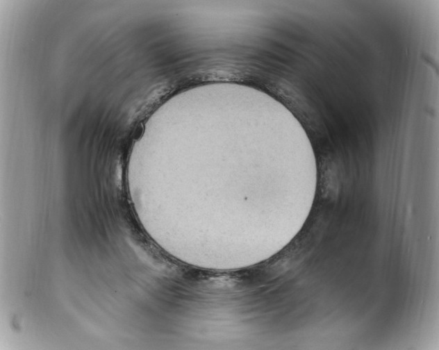 X0000098160310200805151235
