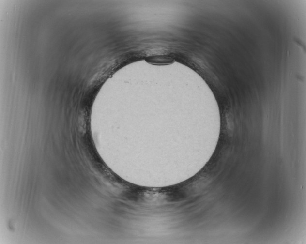 X0000098160311200805151235