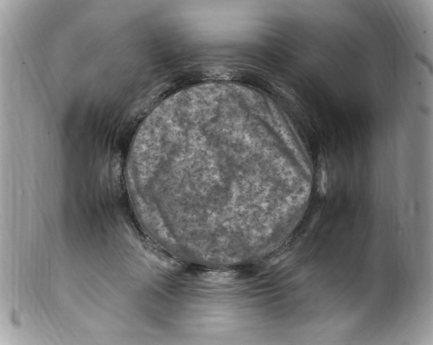X0000098160314200805151235