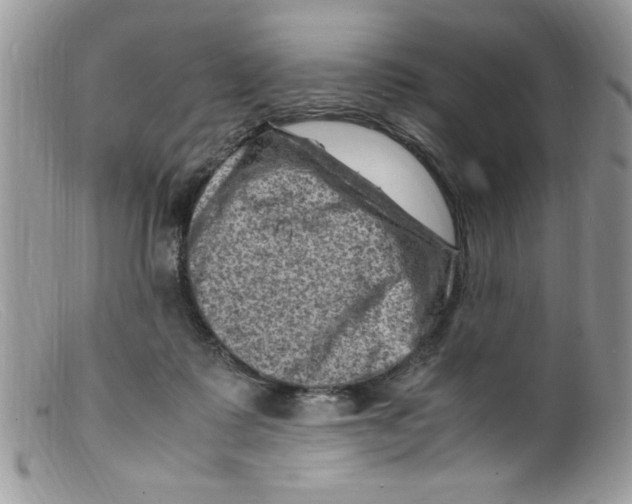 X0000098160315200805151235