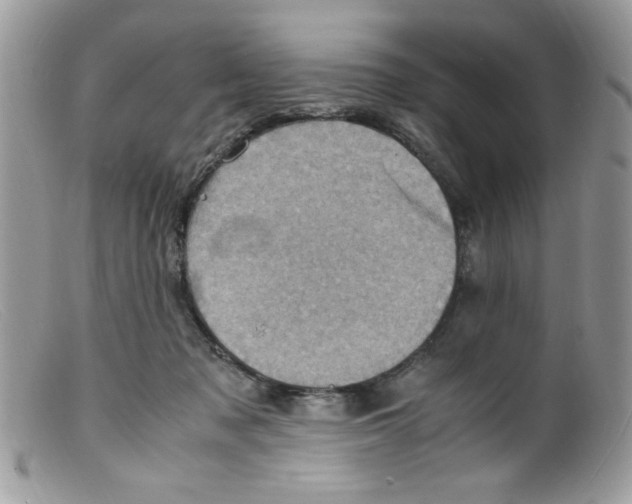 X0000098160317200805151235