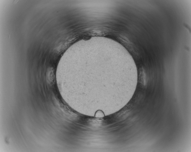 X0000098160318200805151235