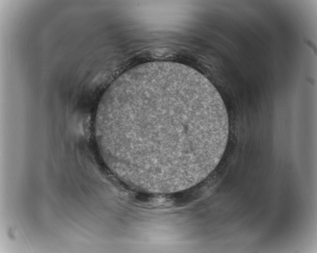 X0000098160319200805151235