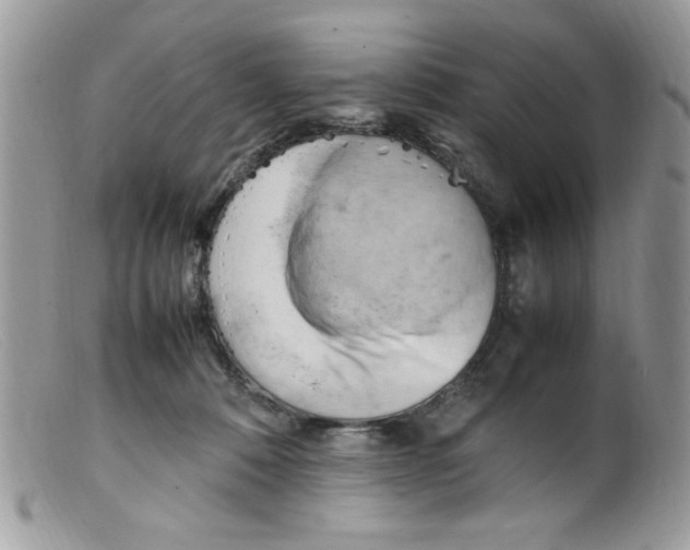 X0000098160320200805151235