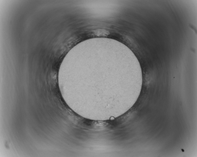X0000098160321200805151235