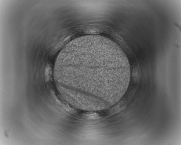 X0000098160322200805151235