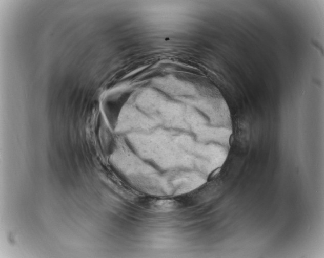 X0000098160324200805151235
