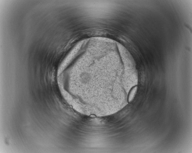 X0000098160326200805151235